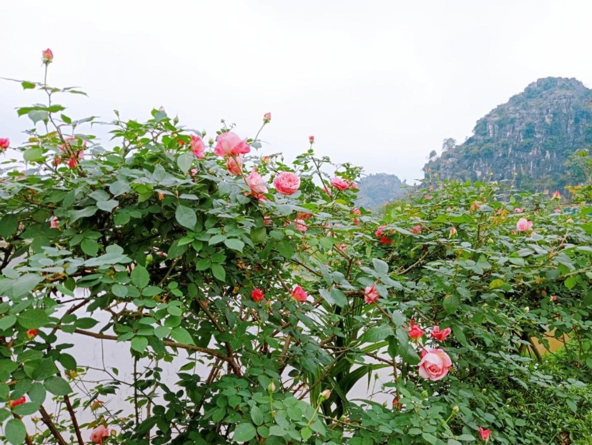 Ninh Binh Green Farmstay La Phu  Exterior foto