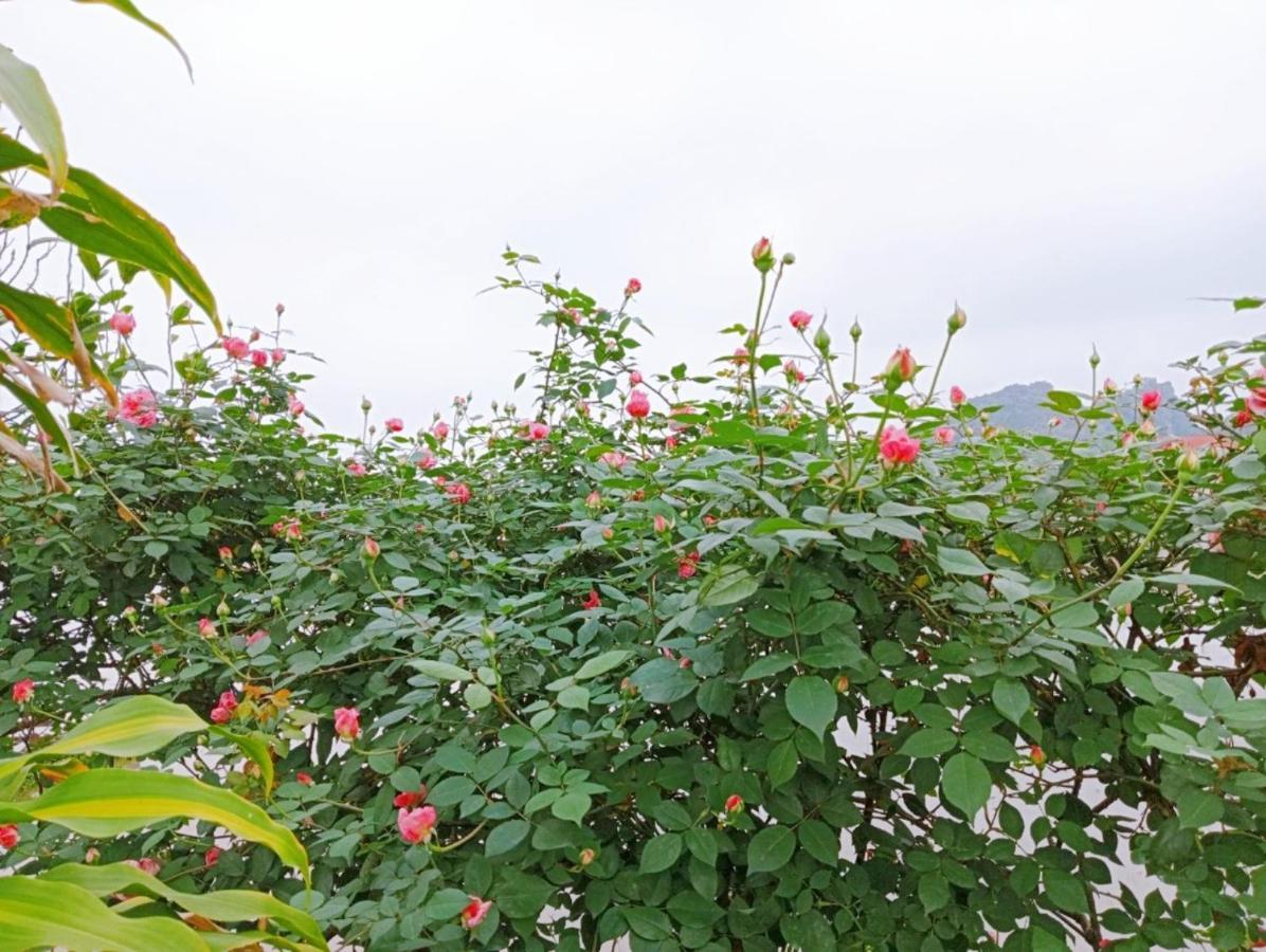 Ninh Binh Green Farmstay La Phu  Exterior foto