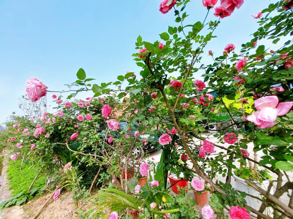 Ninh Binh Green Farmstay La Phu  Exterior foto