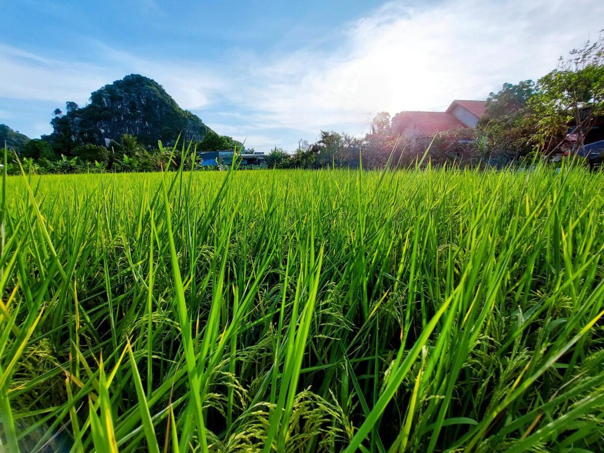 Ninh Binh Green Farmstay La Phu  Exterior foto