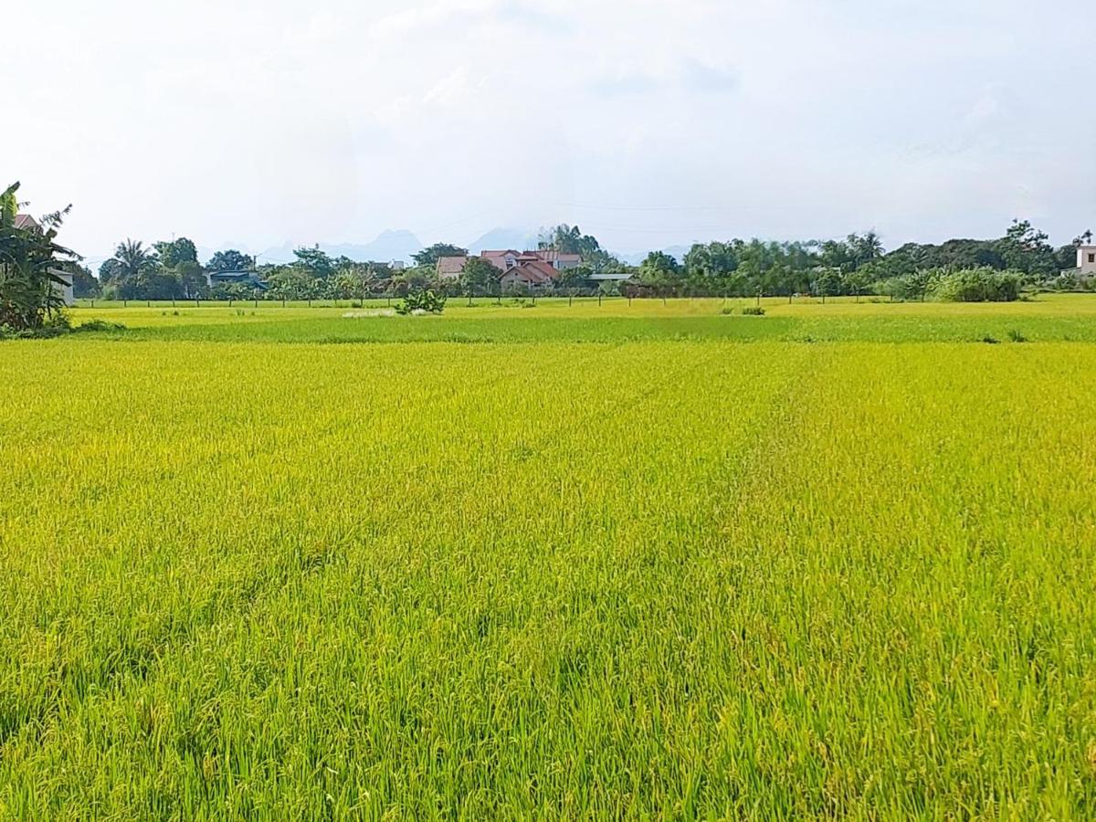 Ninh Binh Green Farmstay La Phu  Exterior foto